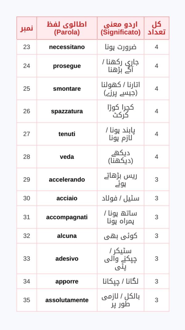 PATENTE B TRICKS BOOK IN URDU PDF BOOK - DOWNLOAD GUESS BOOK - TRUCCHI PATENTE B
