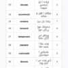 PATENTE B TRICKS BOOK IN URDU PDF BOOK - DOWNLOAD GUESS BOOK - TRUCCHI PATENTE B